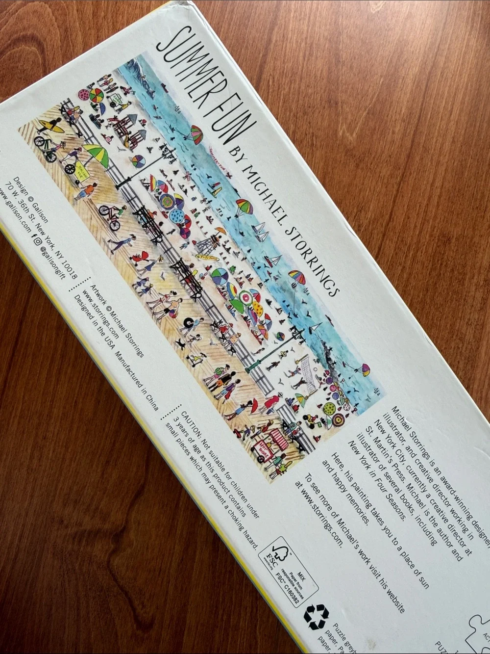 Galison Summer Fun 1,000 Piece Panoramic Puzzle